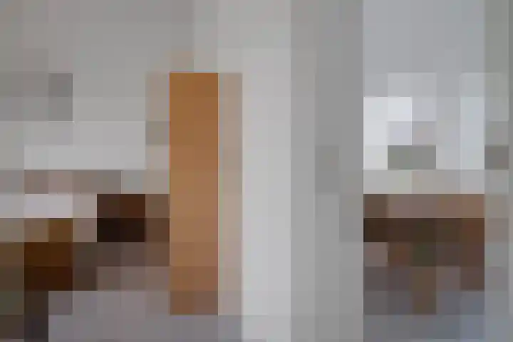 Schipper 19 Diever thumbnail 20