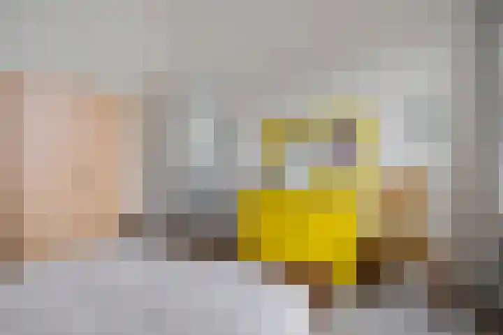 Schipper 19 Diever thumbnail 24