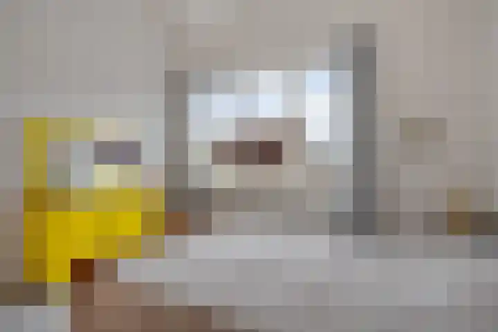 Schipper 19 Diever thumbnail 25