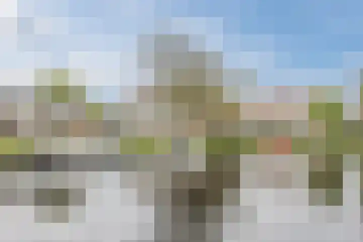 Schipper 19 Diever thumbnail 28