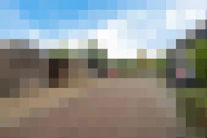 Schipper 19 Diever thumbnail 28