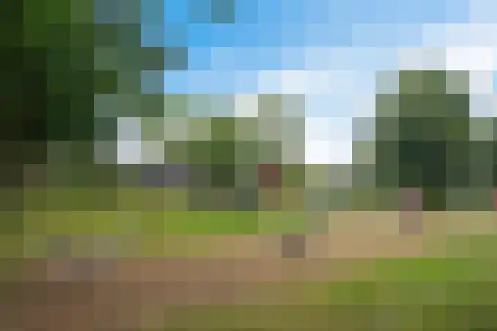 Schipper 19 Diever thumbnail 37