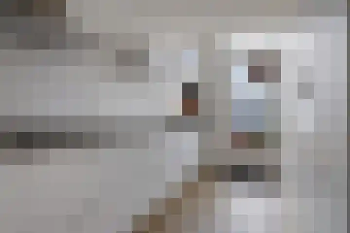 Schipper 19 Diever thumbnail 7