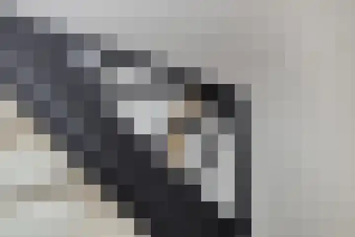 Schipperhorst 21 Enschede thumbnail 11