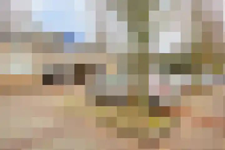 Schipperhorst 21 Enschede thumbnail 43