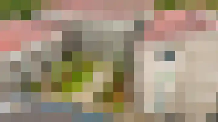 Schippersgildepad 4 Culemborg