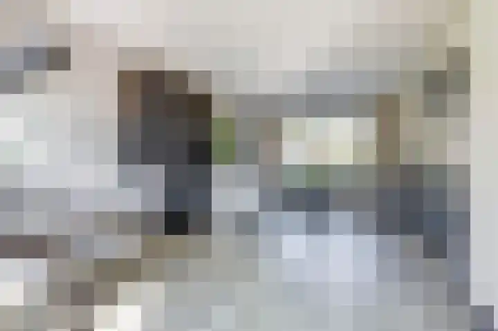 Schipperswegeling 20 Goes thumbnail 10
