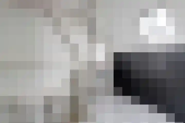 Schipperswegeling 20 Goes thumbnail 18