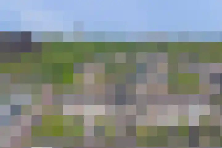 Schipperswegeling 20 Goes thumbnail 27