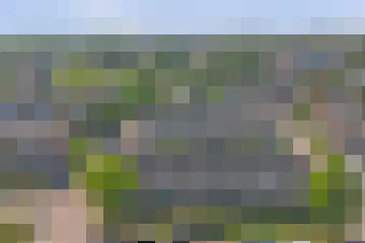 Schipperswegeling 20 Goes thumbnail 28