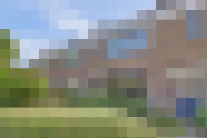 Schipperswegeling 20 Goes thumbnail 33