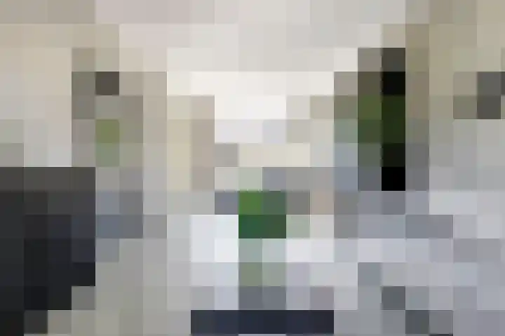 Schipperswegeling 20 Goes thumbnail 5