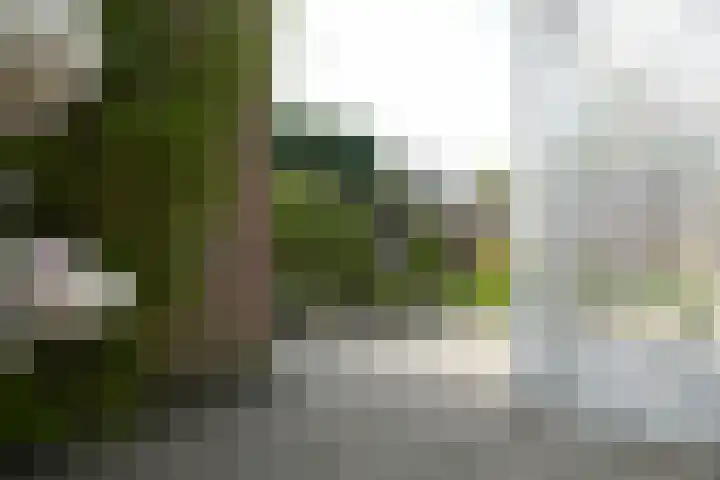 Schmeddingstraat 7 Nuth thumbnail 60