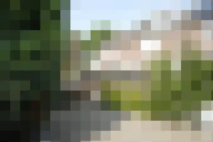Schmeddingstraat 7 Nuth thumbnail 70