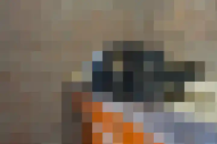 Schmeddingstraat 7 Nuth thumbnail 77