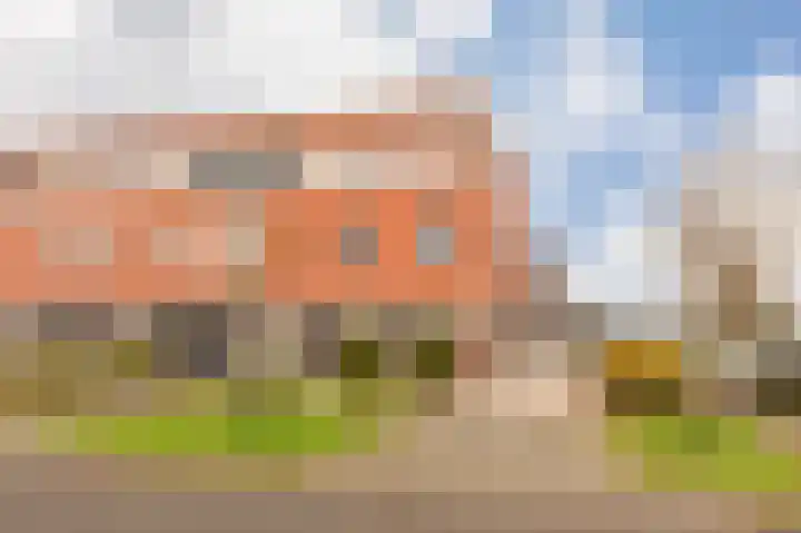Schoener 1 Nijkerk