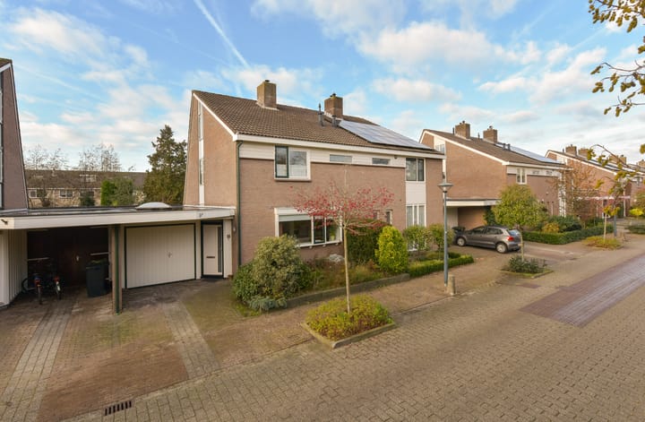 Schoener 10 in Hoorn foto