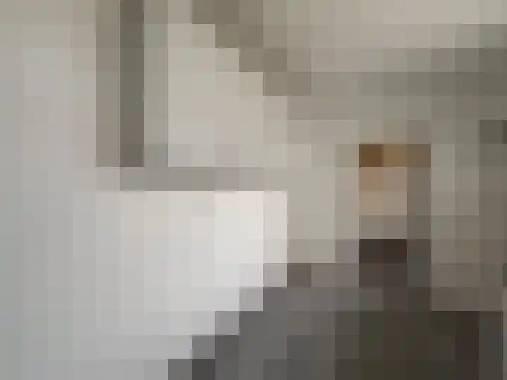 Schoener 15 Wieringerwerf thumbnail 14