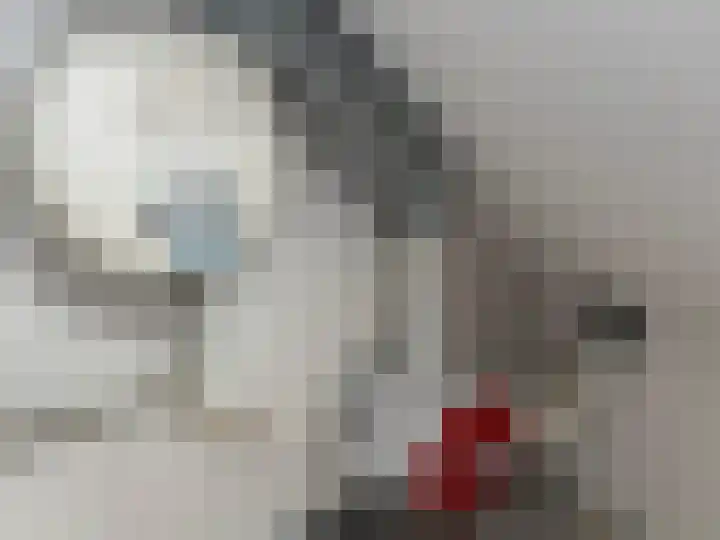 Schoener 15 Wieringerwerf thumbnail 42