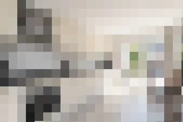 Schoener 25 Oude Wetering thumbnail 12