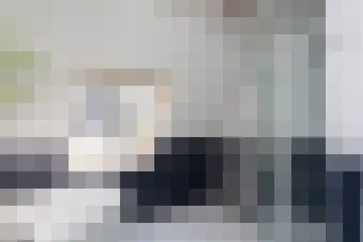 Schoener 25 Oude Wetering thumbnail 24