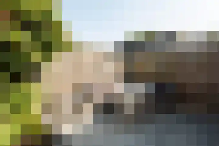 Schoener 25 Oude Wetering thumbnail 29