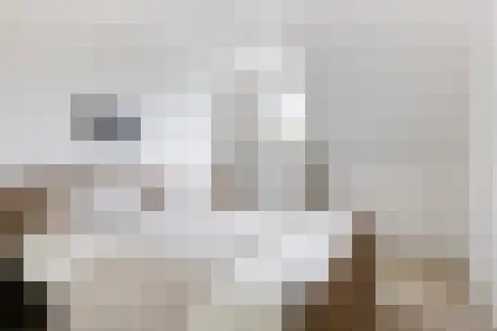 Schoener 26 Franeker thumbnail 27
