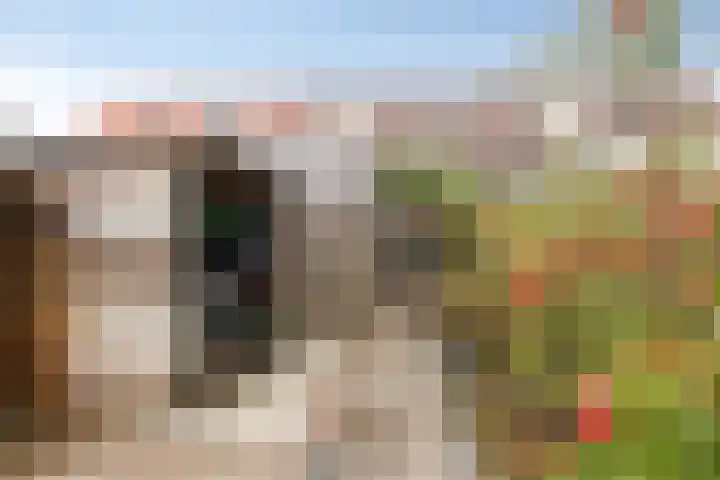 Schoener 26 Franeker thumbnail 5