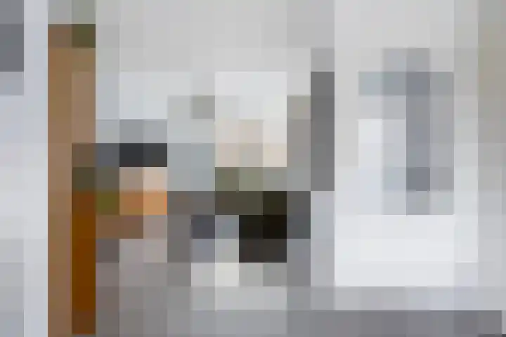 Schoener 26 Franeker thumbnail 8