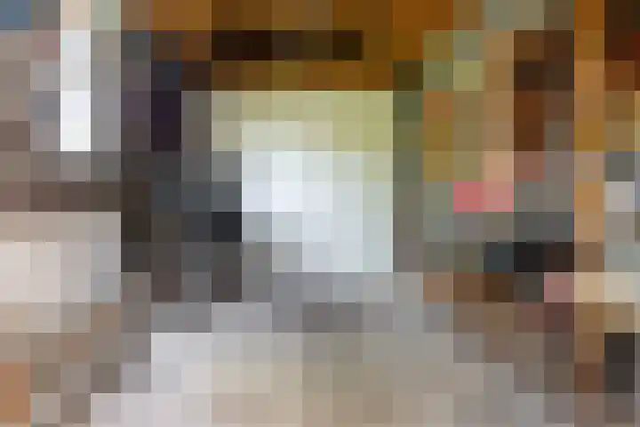 Schoener 29 Franeker thumbnail 18