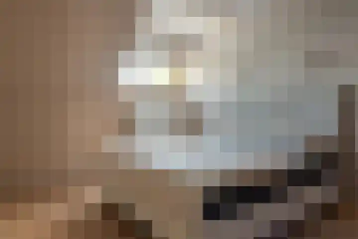 Schoener 29 Franeker thumbnail 21