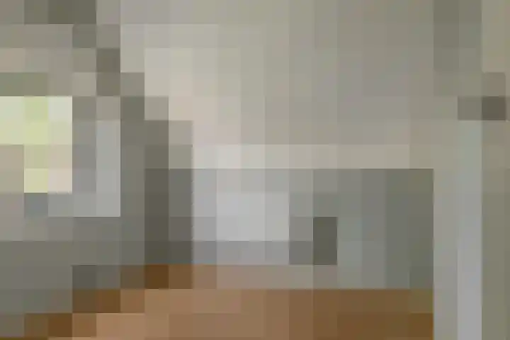 Schoener 29 Franeker thumbnail 25