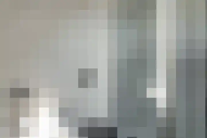 Schoener 29 Franeker thumbnail 27