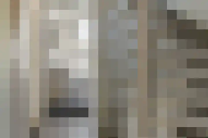 Schoener 29 Franeker thumbnail 28