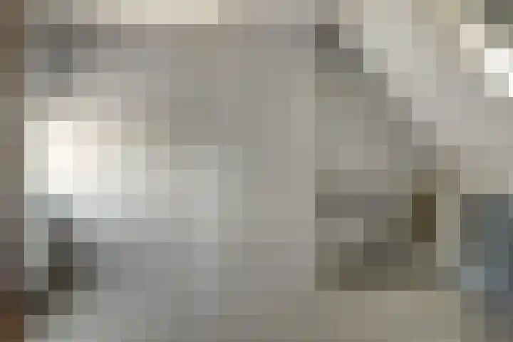 Schoener 29 Franeker thumbnail 30