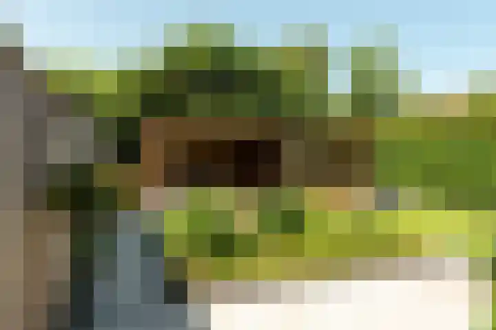 Schoener 29 Franeker thumbnail 31