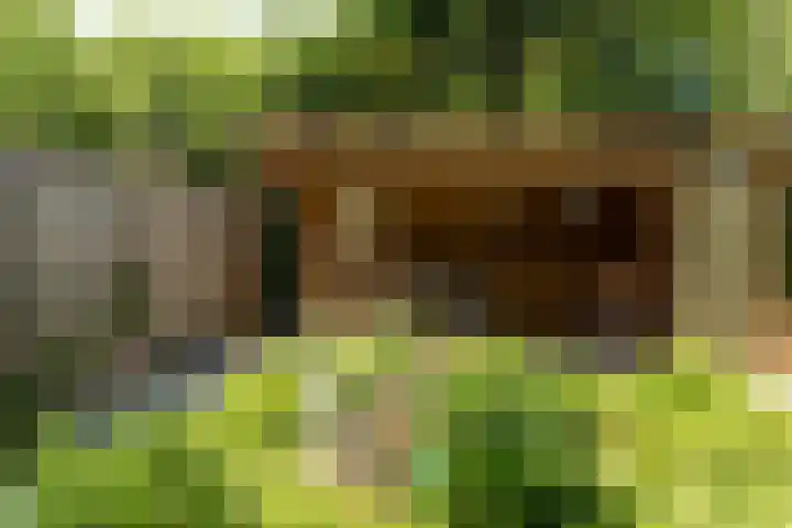 Schoener 29 Franeker thumbnail 32