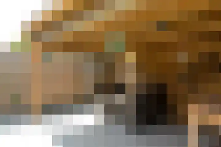 Schoener 29 Franeker thumbnail 33