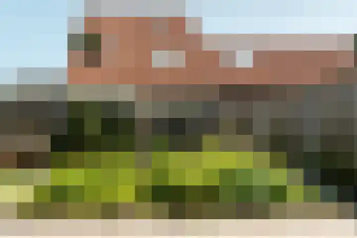 Schoener 29 Franeker thumbnail 34