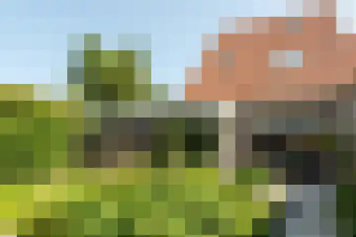 Schoener 29 Franeker thumbnail 35