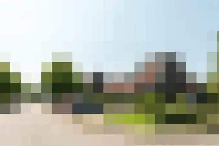 Schoener 29 Franeker thumbnail 38