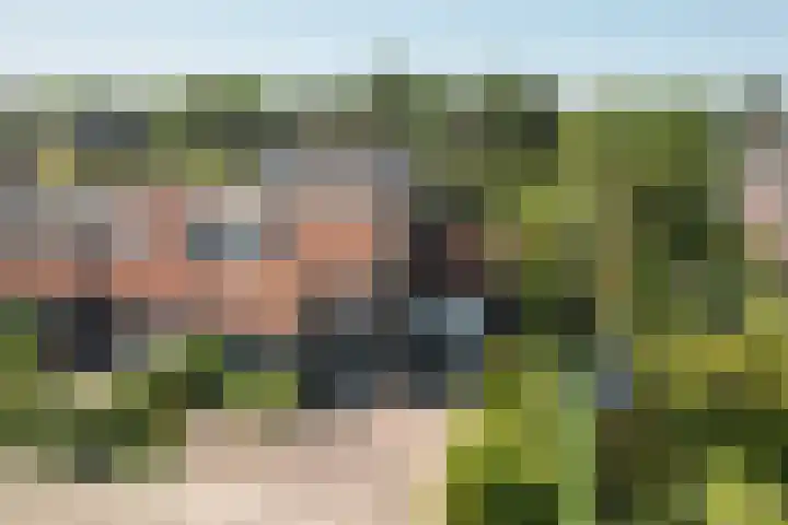 Schoener 29 Franeker thumbnail 39