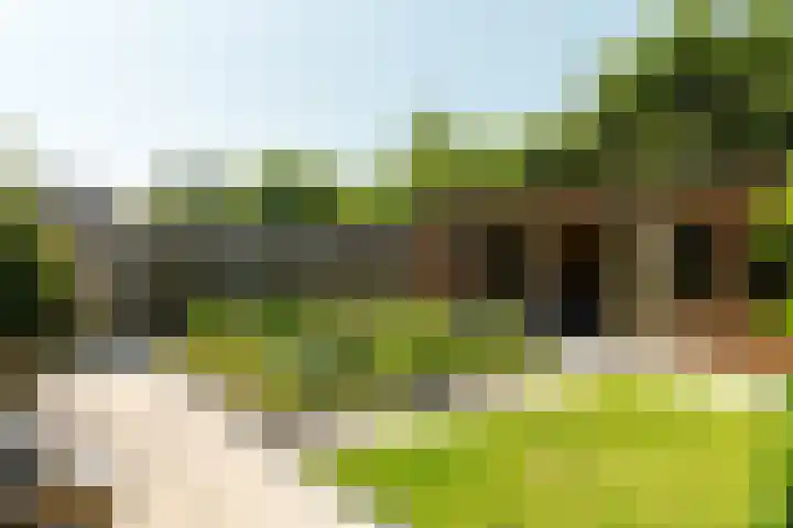 Schoener 29 Franeker thumbnail 6