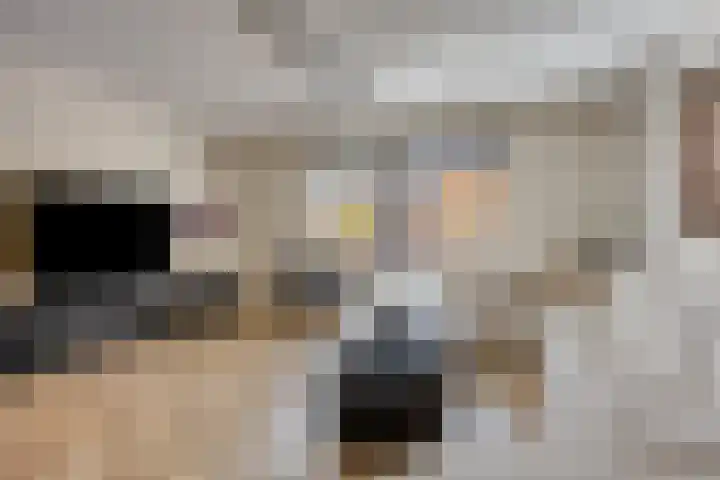 Schoener 4 Spijkenisse thumbnail 10