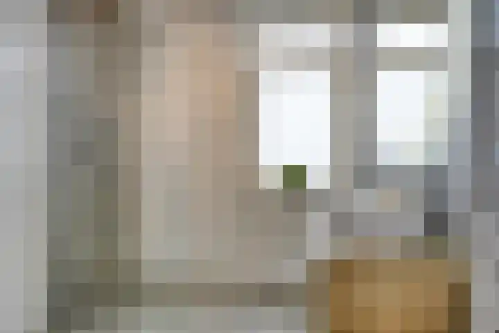 Schoener 4 Spijkenisse thumbnail 25