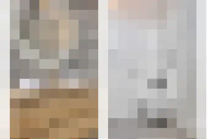 Schoener 4 Spijkenisse thumbnail 26