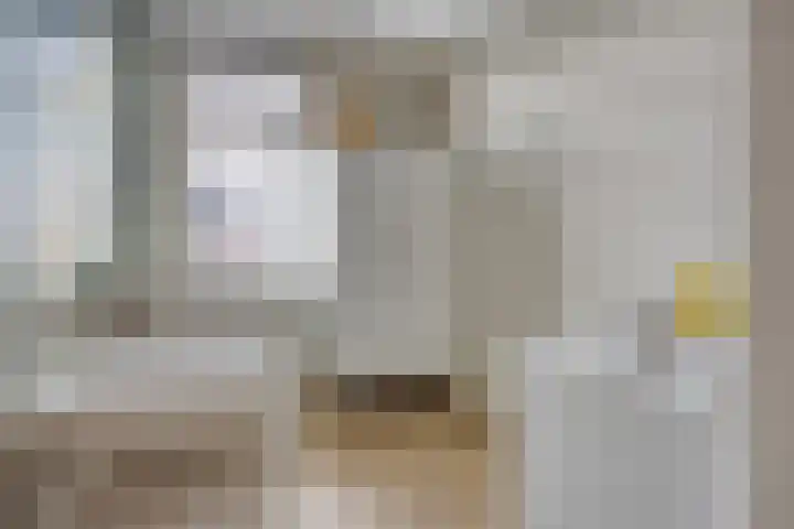 Schoener 4 Spijkenisse thumbnail 28