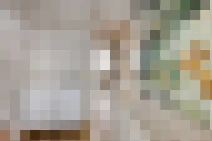 Schoener 4 Spijkenisse thumbnail 29