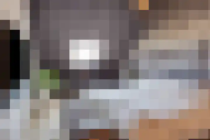 Schoener 4 Spijkenisse thumbnail 33