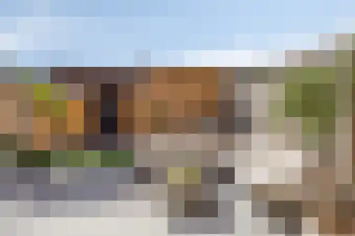 Schoener 4 Spijkenisse thumbnail 35
